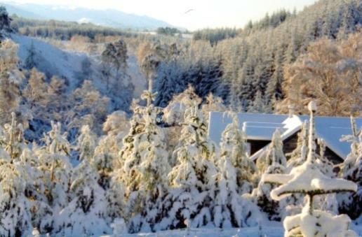 Sunrise House Otel Inverfarigaig Dış mekan fotoğraf